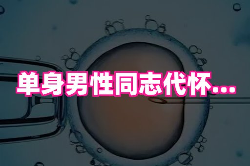杭州助孕网 1