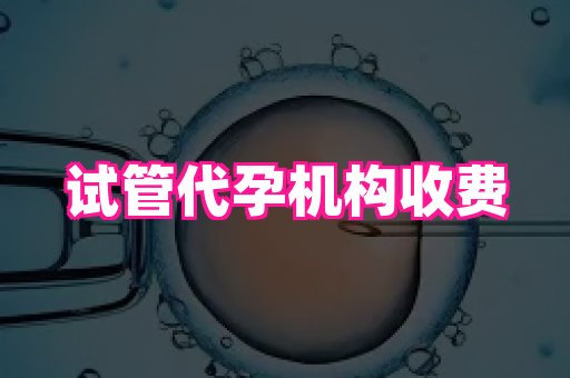 杭州助孕网 1