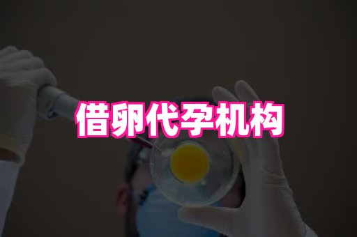 杭州助孕网 2
