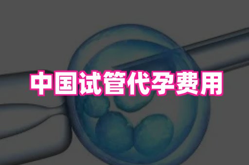 杭州助孕网 3