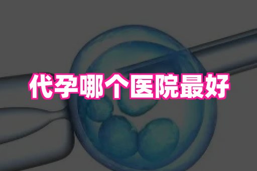 杭州助孕网 3