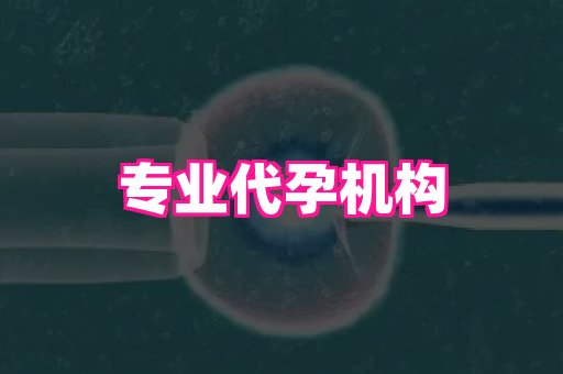 杭州助孕网 4